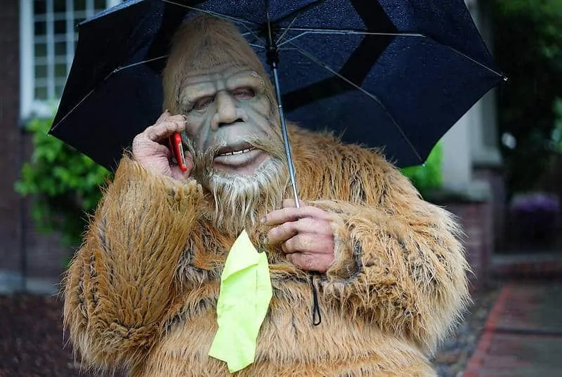 Sasquatch, Wielka stopa, Yeti