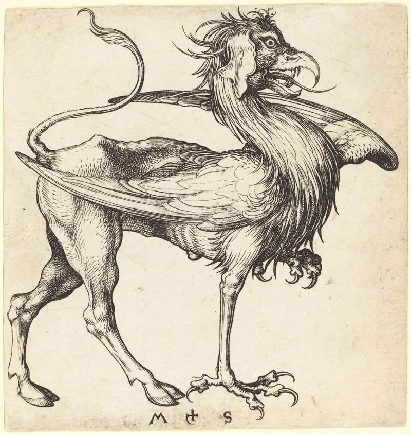 gryf