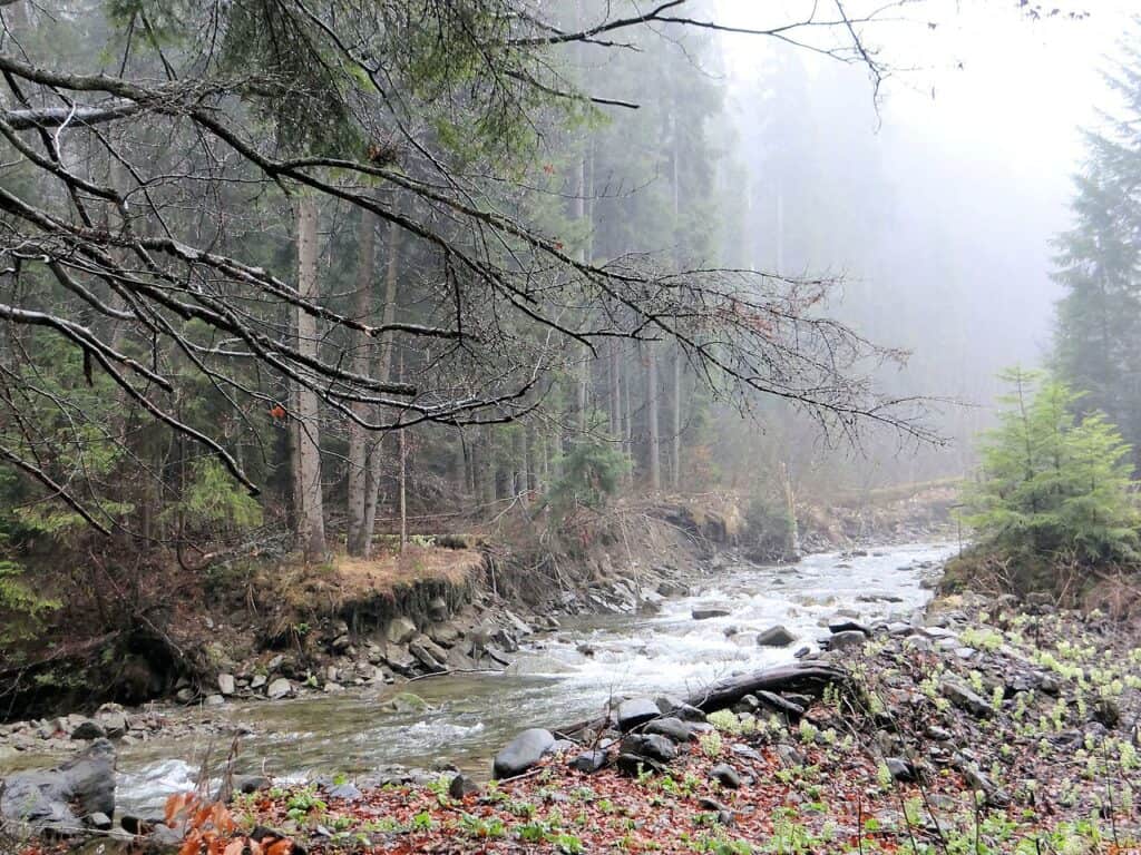 Gorczański Park narodowy (Parki narodowe w Polsce)
fot.: Jolanta Dyr / wikimedia Commons