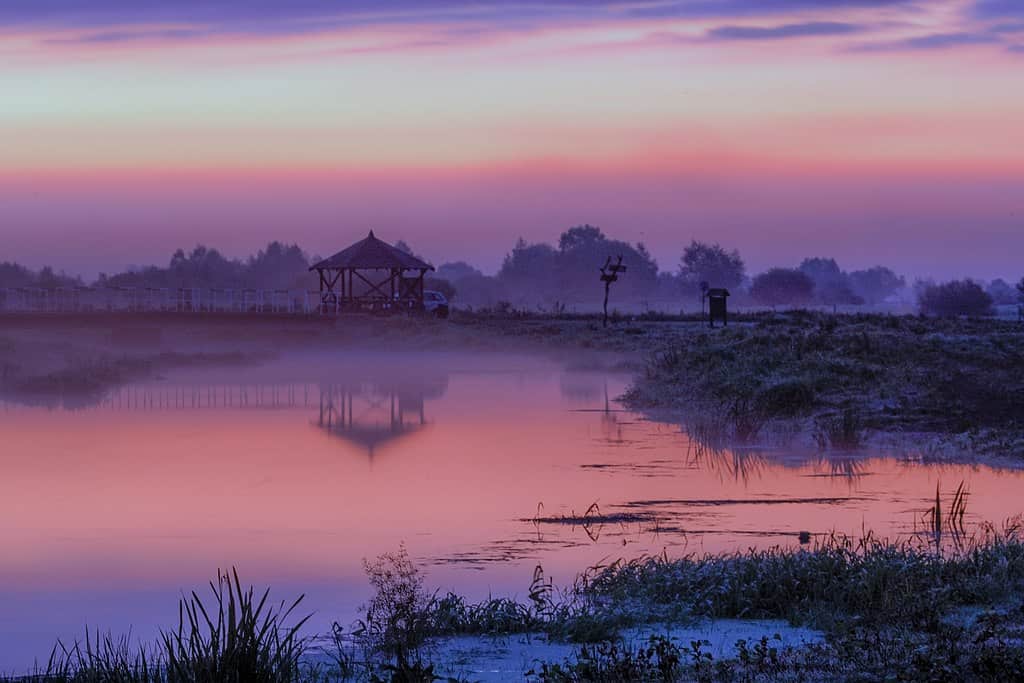 Ujście Warty, rzeka Postomia
fot.: J. Strzelecki / wikimedia commons