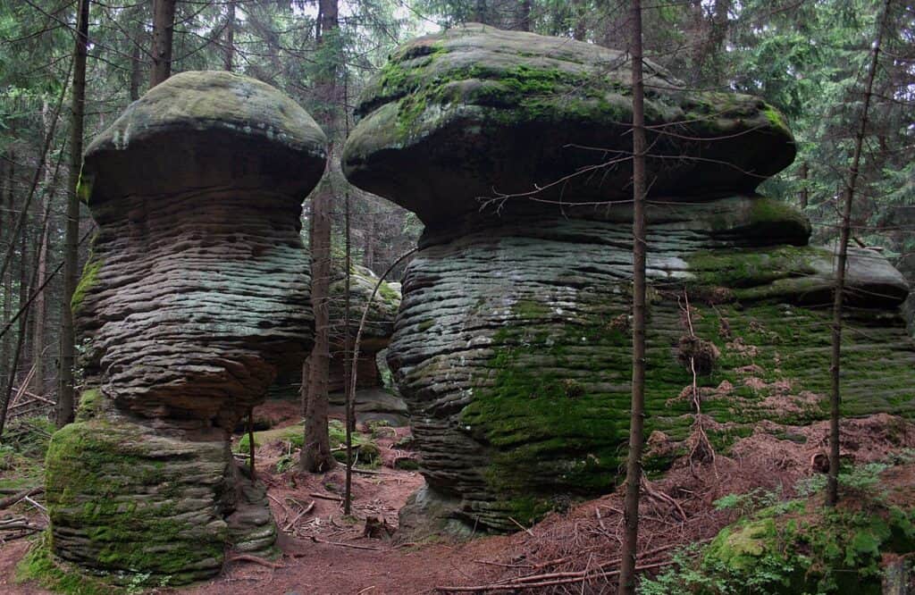 Parki narodowe w Polsce – Góry Stołowe
fot. przykuta / wikimedia commons