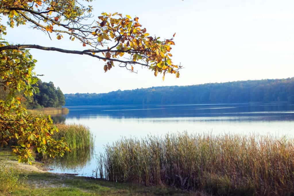 Parki narodowe w Polsce: Wielkopolski Park Narodowy
fot. msw /flikr