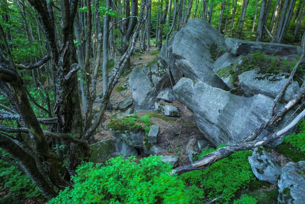 Parki narodowe w Polsce – Magurski Park Narodowy
fot. msz/flikr