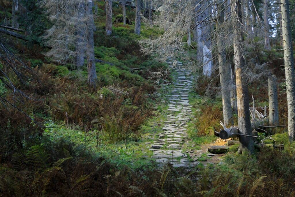 Parki narodowe w Polsce: Babiogórski park narodowy, Babia góra
fot. msw/flikr