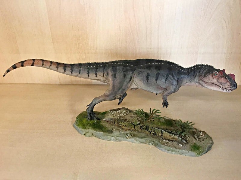 Model: RobinGoodfellow_(m) / wikimedia commons