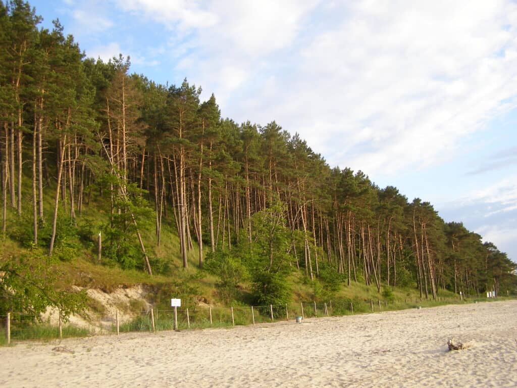 Woliński Park Narodowy,
fot. magro_kr/flikr