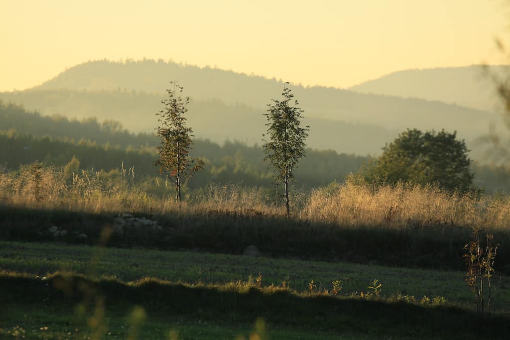 Świętokrzyski Park Narodowy
fot. msw/flikr