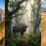 23 parki Narodowe w Polsce