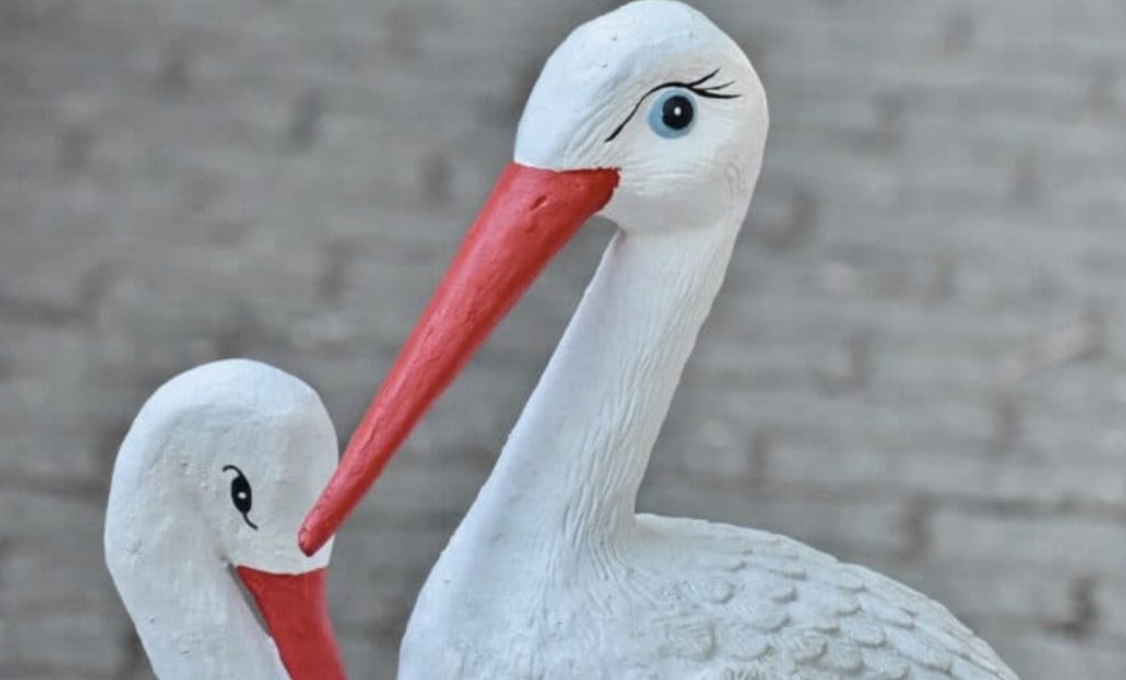 29 najpopularniejsze ptaki polskie