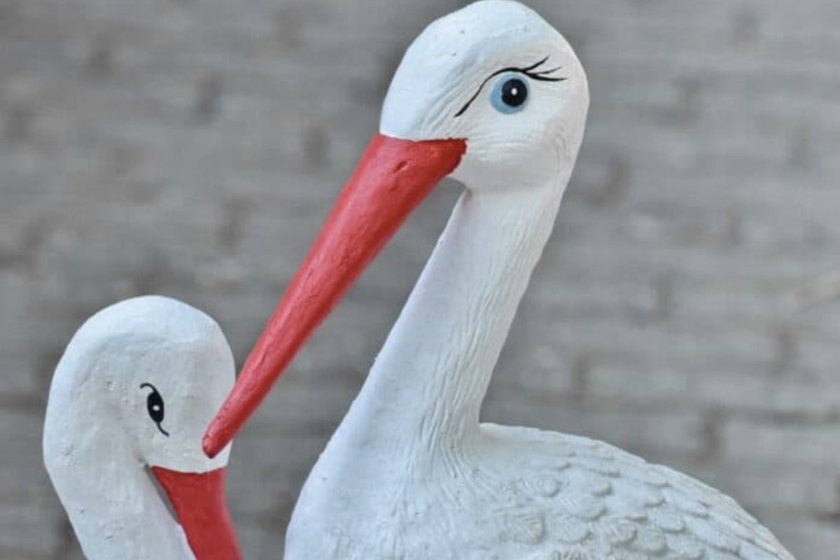 29 najpopularniejsze ptaki polskie