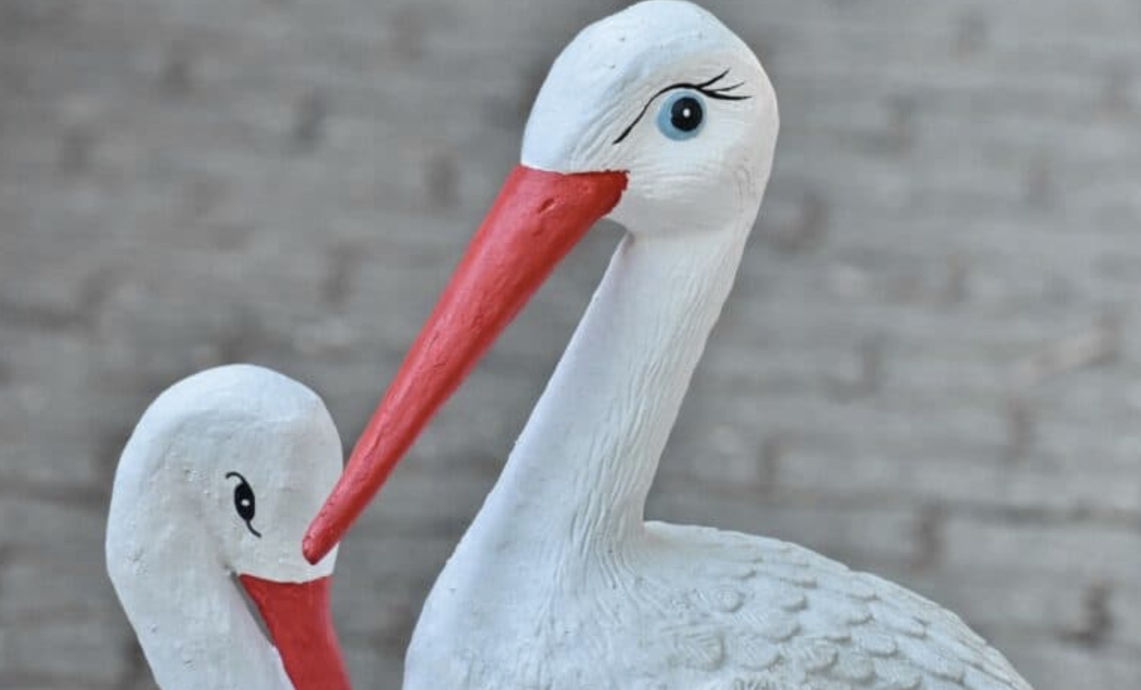 29 najpopularniejsze ptaki polskie