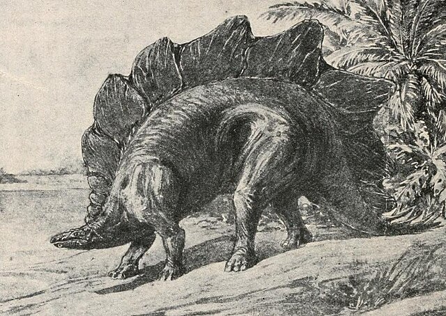 Stegosaurus_reconstruction,_from_Abel,_O._(1919)._Die_Stämme_der_Wirbeltiere