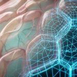 Geometryczny kod życia złamany. „Miękkie komórki” to brakujące ogniwo między matematyką a biologią