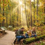 Laboratoria pod gołym niebem. Jak Leśne Kompleksy Promocyjne zmieniają polskie lasy?