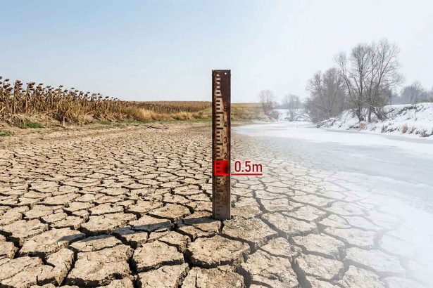 Cicha Katastrofa: Dlaczego Polska Może Wyschnąć w 2026 Roku? Analiza Zagrożenia