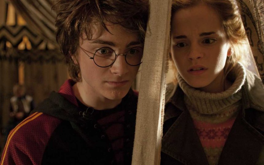 Mroczne sekrety i pominięte wątki: Czego tak naprawdę zabrakło w filmach o Harrym Potterze?