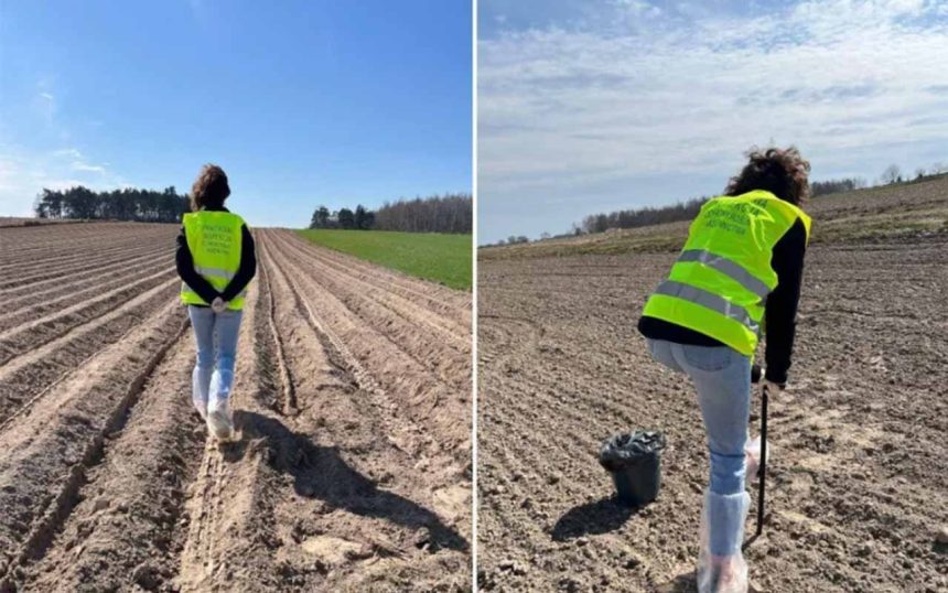 Wiosenna Ofensywa Inspektorów: Ruszyły Kontrole Rolników w 2026 Roku. Czego Szuka PIORiN i Za Co Grożą Wielotysięczne Kary?