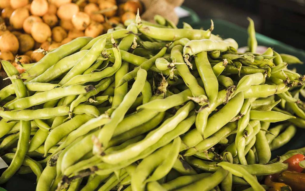 Toksyczne oblicze fasoli: Czym jest fazyna i jak działa na organizm?