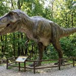 Dinozaury w Polsce: Ślady, odkrycia paleontologiczne i stanowiska