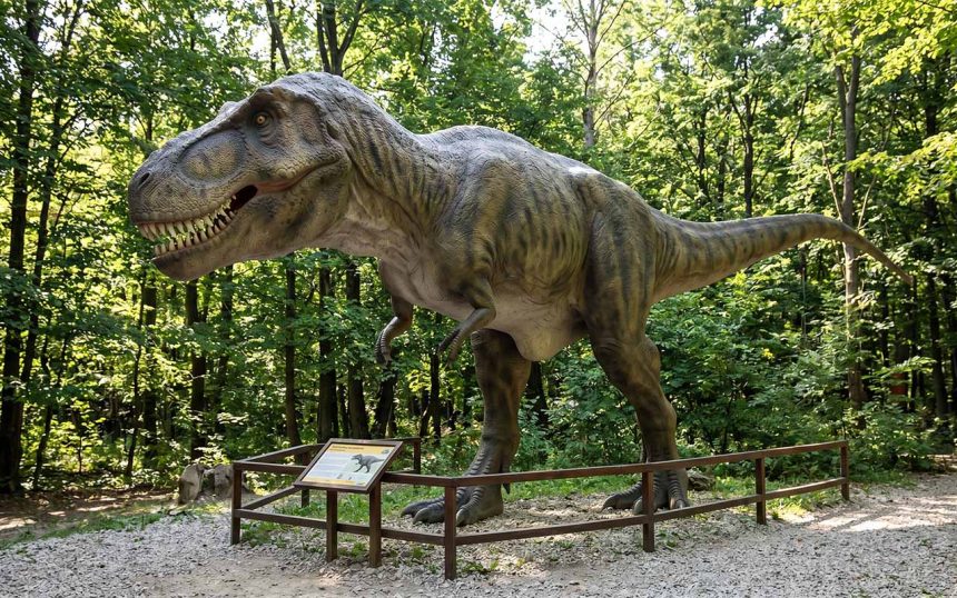 Dinozaury w Polsce: Ślady, odkrycia paleontologiczne i stanowiska