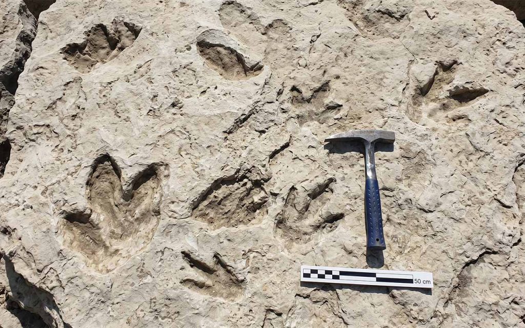 Dinozaury w Polsce: Ślady, odkrycia paleontologiczne i stanowiska