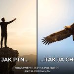 Porównanie – środek stylistyczny z przykładami