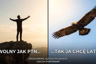 Porównanie – środek stylistyczny z przykładami
