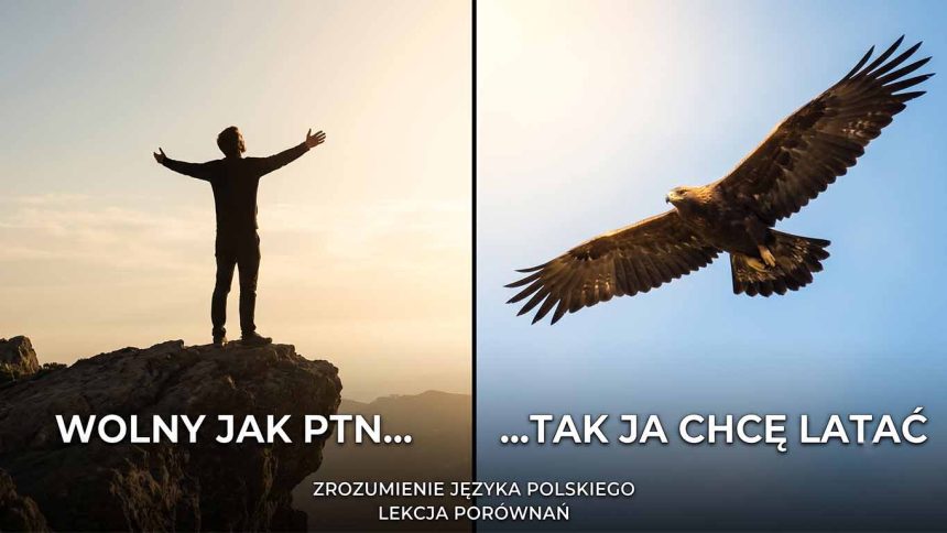 Porównanie – środek stylistyczny z przykładami
