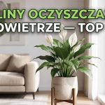 Rośliny oczyszczające powietrze w domu: Top 10 gatunków i pielęgnacja