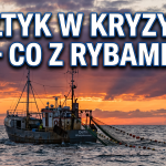 Rybołówstwo na Bałtyku 2026: Limity połowowe, gatunki i problemy
