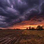 Epitet – co to jest, rodzaje i przykłady