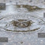 Onomatopeja – wyrazy dźwiękonaśladowcze