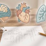 Krzyżówki „Anatomia człowieka" online — 3 poziomy z odpowiedziami