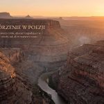 Anafora, epifora, apostrofa – powtórzenia w poezji
