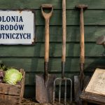 Skąd wzięły się ogródki działkowe w Polsce? Poznaj historię od kolonii robotniczych, przez ogrody aprowizacyjne i pracownicze, aż po współczesne rodzinne ogrody działkowe ROD w Polsce dziś.