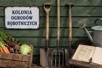 Skąd wzięły się ogródki działkowe w Polsce? Poznaj historię od kolonii robotniczych, przez ogrody aprowizacyjne i pracownicze, aż po współczesne rodzinne ogrody działkowe ROD w Polsce dziś.
