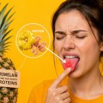 Dlaczego ananas szczypie w język? Wyjaśniamy działanie bromelainy i kwasów, podpowiadamy, jak ograniczyć pieczenie oraz kiedy objawy mogą wskazywać na alergię. Sprawdź przed porcją owocu.