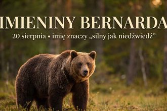 Imieniny Bernarda: 20 sierpnia. Imię, w którym mieszka niedźwiedź