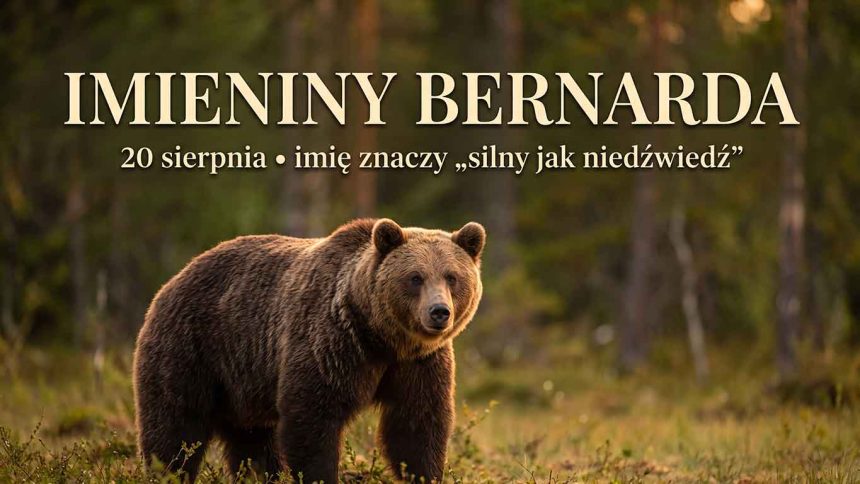 Imieniny Bernarda: 20 sierpnia. Imię, w którym mieszka niedźwiedź