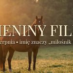 Imieniny Filipa: 23 sierpnia. Imię, w którym ukryty jest koń