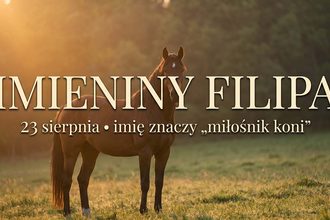 Imieniny Filipa: 23 sierpnia. Imię, w którym ukryty jest koń