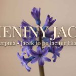 Imieniny Jacka: 17 sierpnia. Dlaczego Jacek to tak naprawdę Hiacynt?