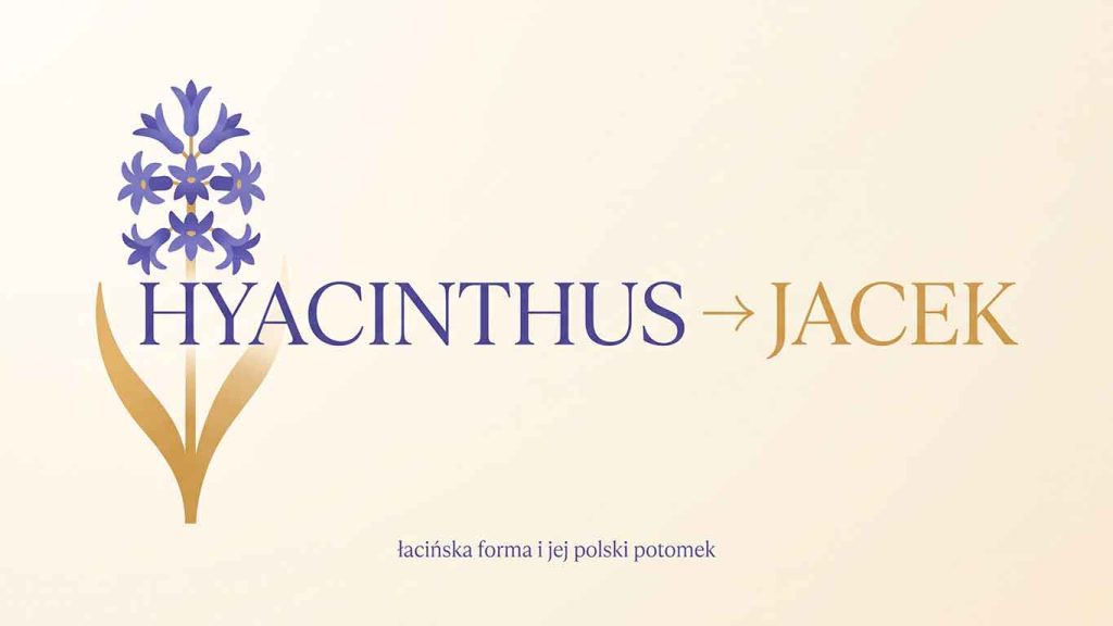 Imieniny Jacka: 17 sierpnia. Dlaczego Jacek to tak naprawdę Hiacynt?