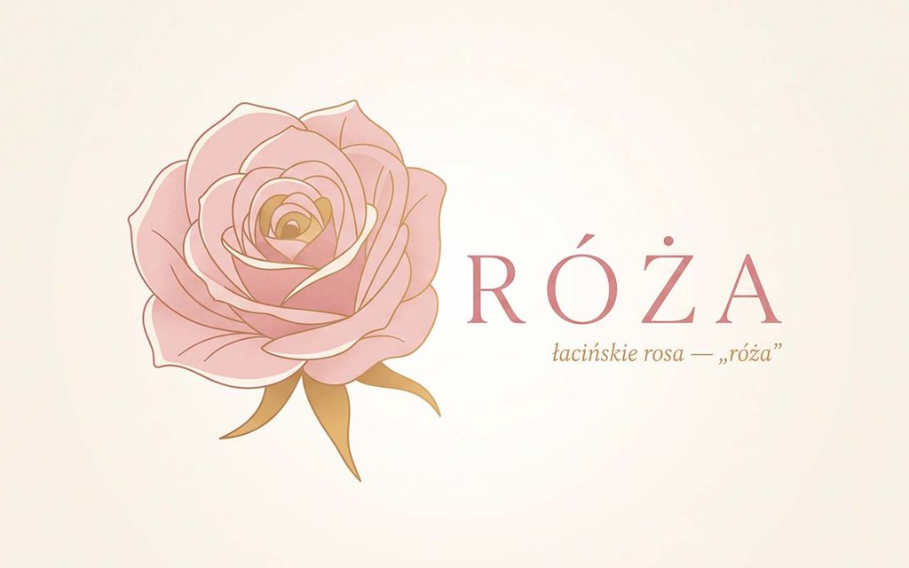 Imieniny Róży: 23 sierpnia. Czy Róża i Rozalia to to samo imię?