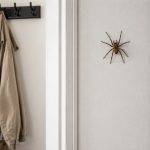 Pająki w domu pod koniec sierpnia pojawiają się częściej nie tylko przez chłodne noce. Wyjaśniamy, kiedy zaczyna się okres godowy, którędy wchodzą i dlaczego nagle widać je w mieszkaniach pod dachem.
